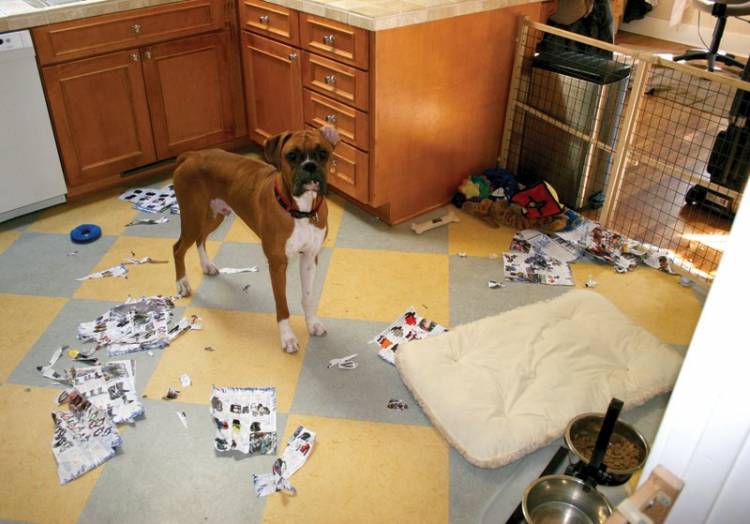 holiday catalog shopping