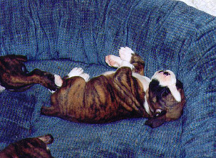 HollySleepingTwo