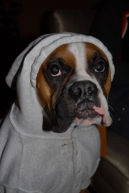Hoodie