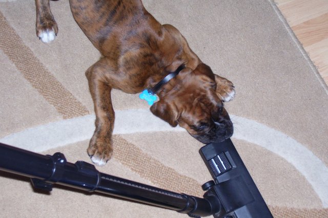 hoover_time_1