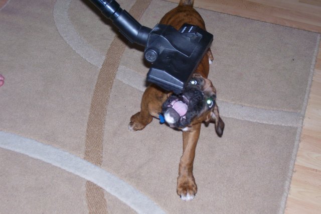 hoover_time_2