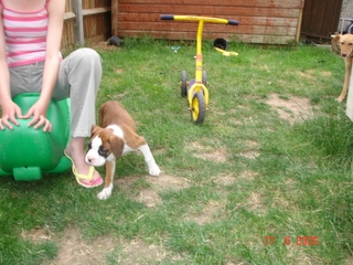 Hope 8wks