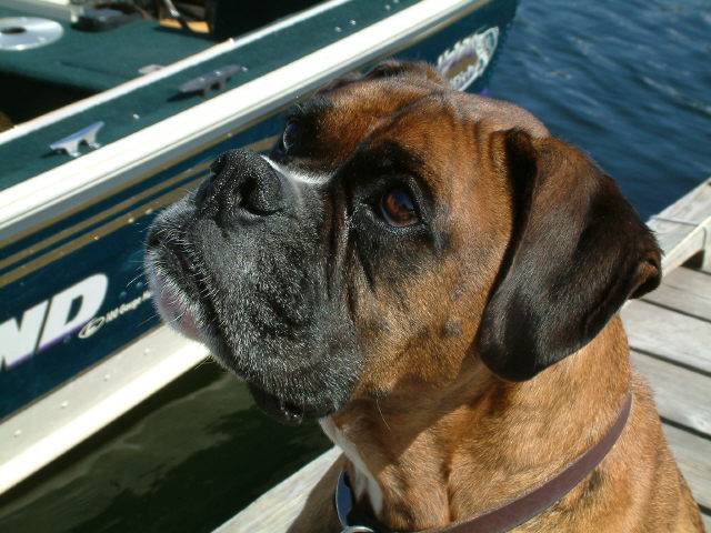 Hoping for a boat ride