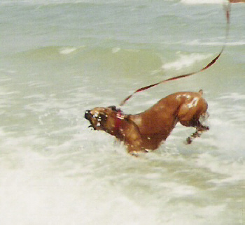 hoppin' around