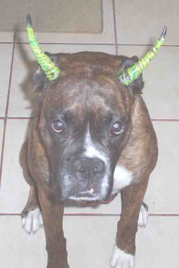 Horns