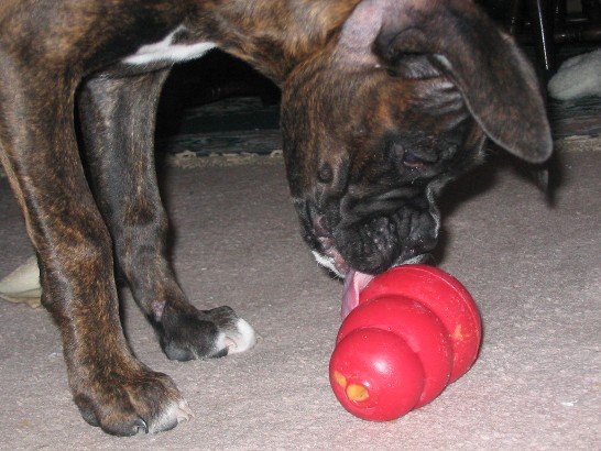 Hours of entertainment await!