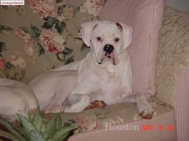 houstonoct