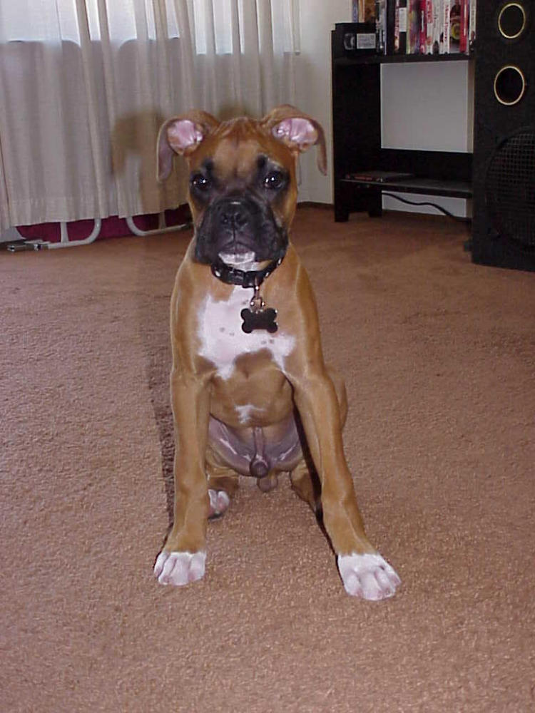 How adorable am I?