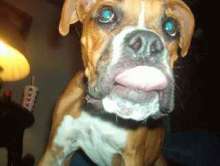 How 'bout a kiss!!?!