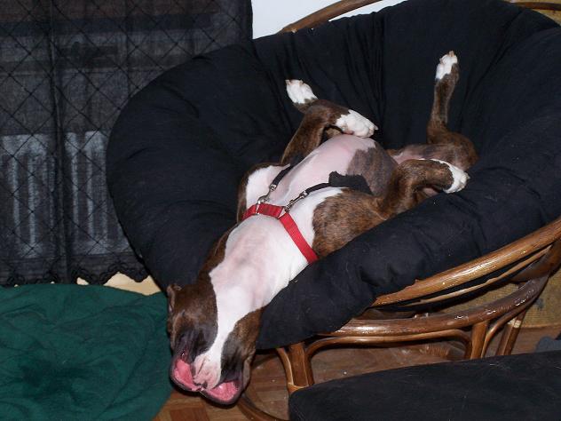 How can anyone sleep in that position?