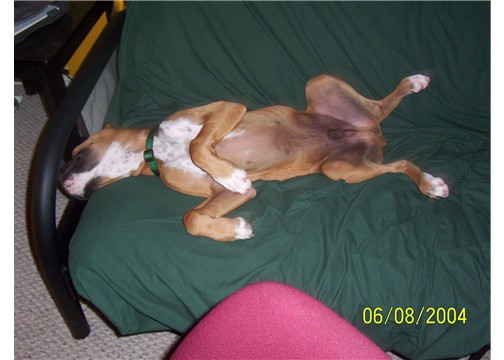 How can this be comfortable
