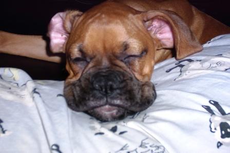 How can you resist a face like hers???