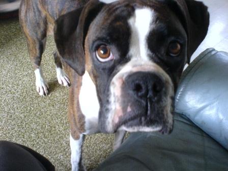 How can you say no!