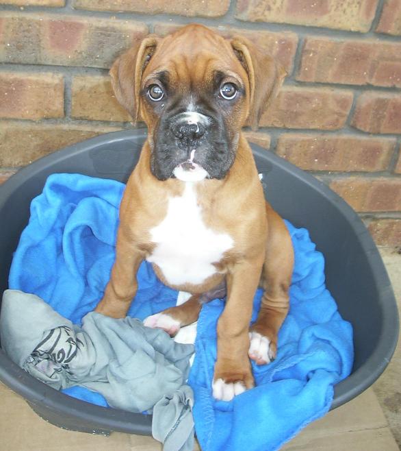 HOW CUTE AM I?