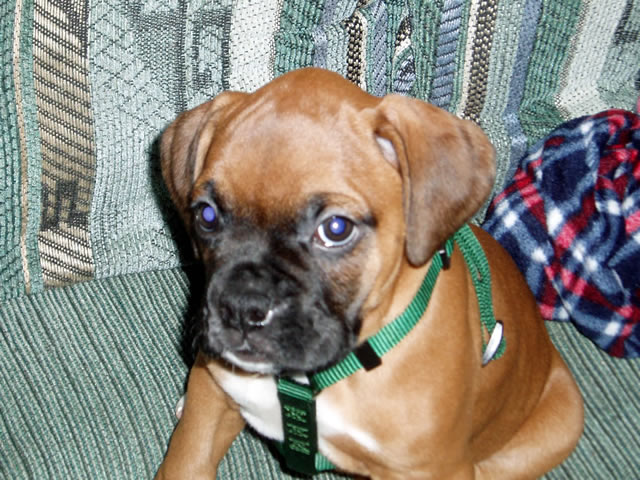 How cute am I?