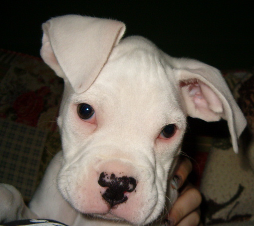 How cute am I ???