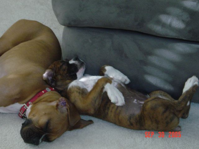How cute are we?