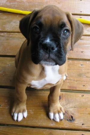 How cute can I be?