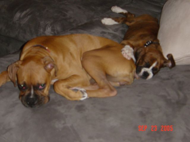 How Cute!