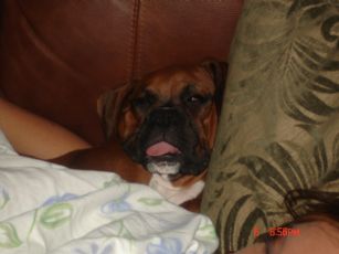 How dare she actually stick her tongue out at me!!!!