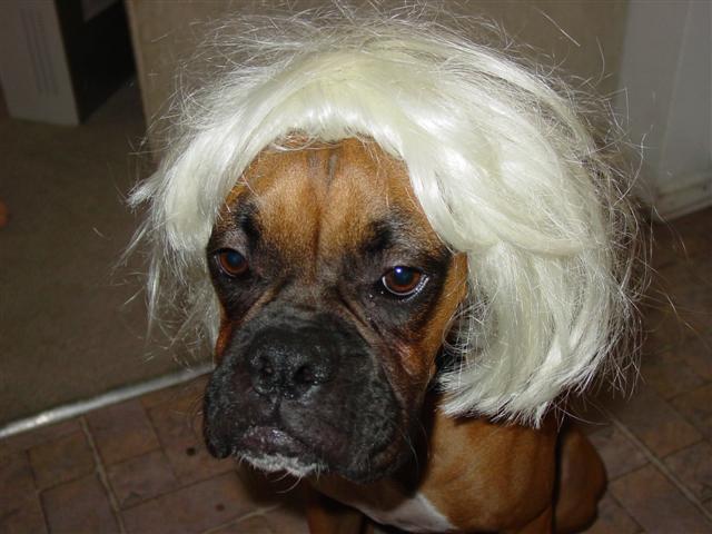 How do I look ???