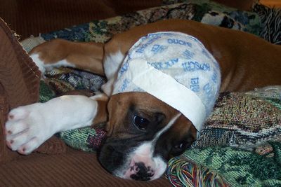 How do you like my scarf?