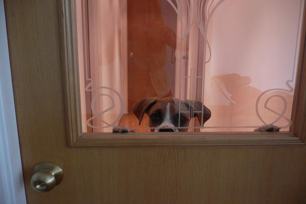 How do you open this door???