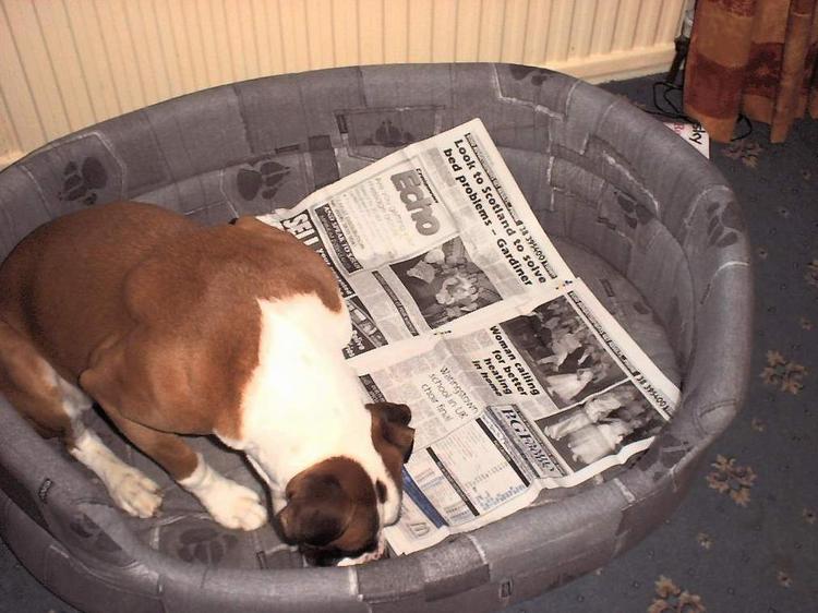 How do you turn the page again mum?