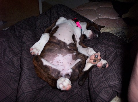 How does she sleep like this?