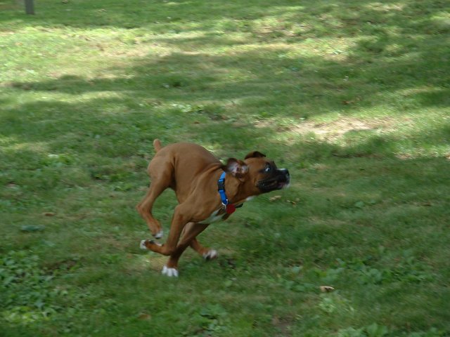How Fast Can I Go?