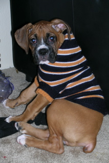 How's my sweater look?