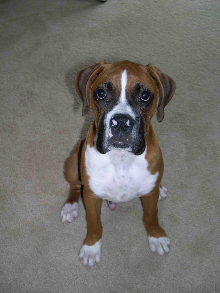 Howz this pose :o)