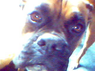 Hudsen