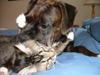 Huggin'