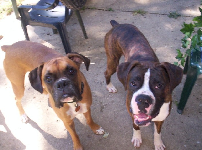 Hugo and Cay