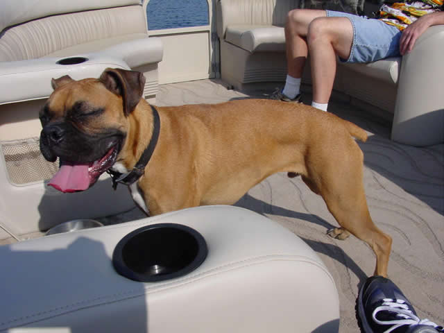 Hugo at the Lake