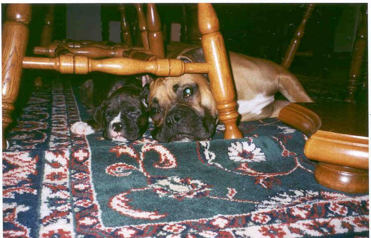 Hugo&Greta