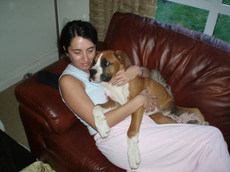 Hugs