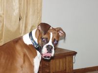 Huh???  (cooper)