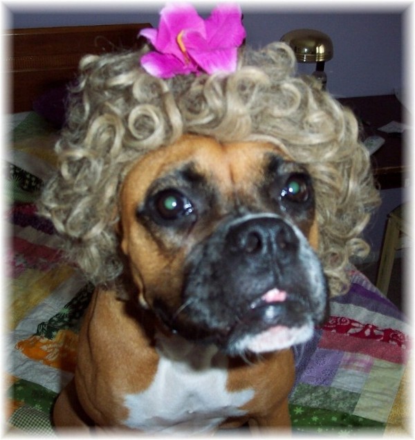 Humiliation