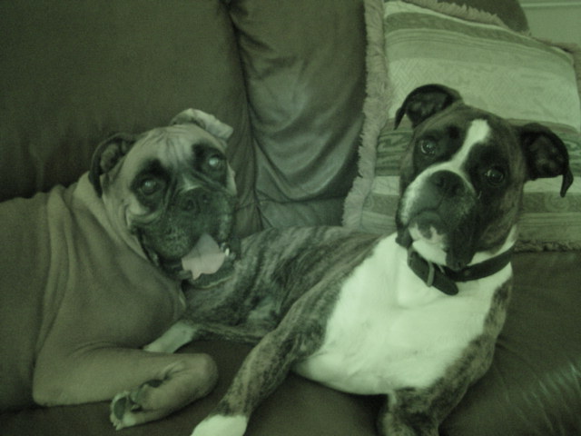 Hummer & Dempsey "Night Vision"