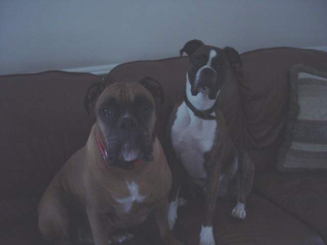 Hummer & Dempsey