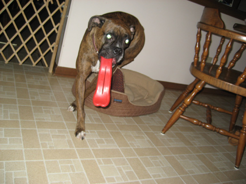 humunga-tounge-2