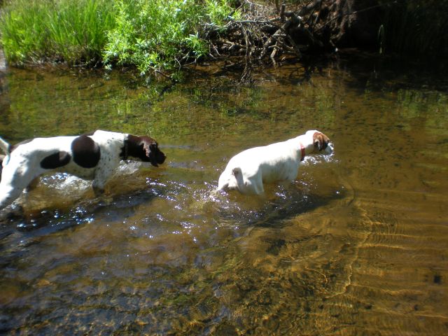 Hunter and Annabelle in the water