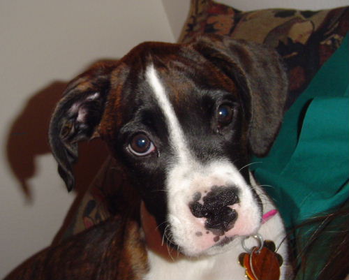 Hurley Belle!