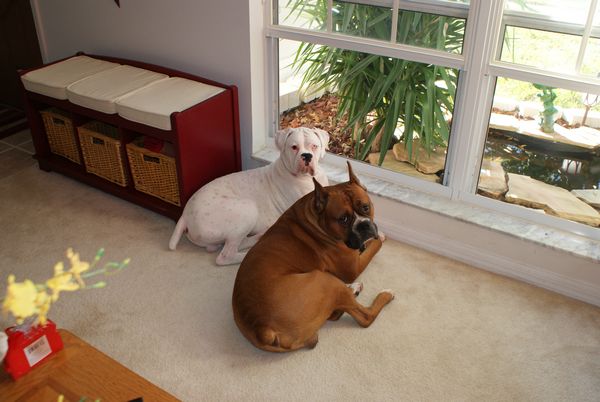 Hurley & Bodie posing