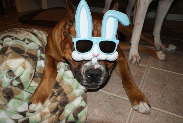 Hurley @ Easter
