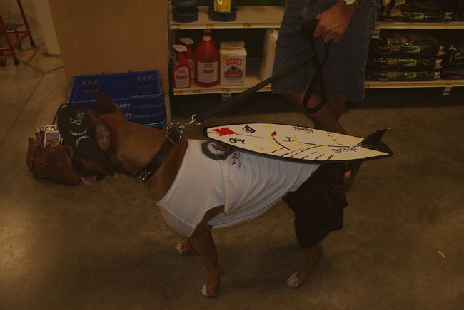 Hurley - Halloween 2009
