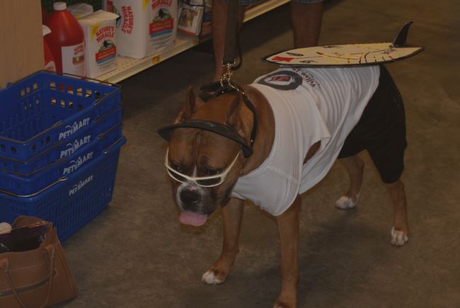 Hurley - Howl-o-ween
