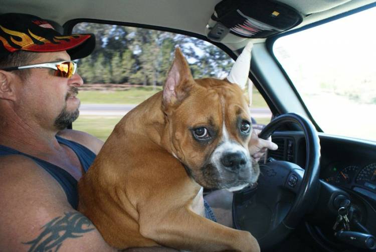Hurley is driving